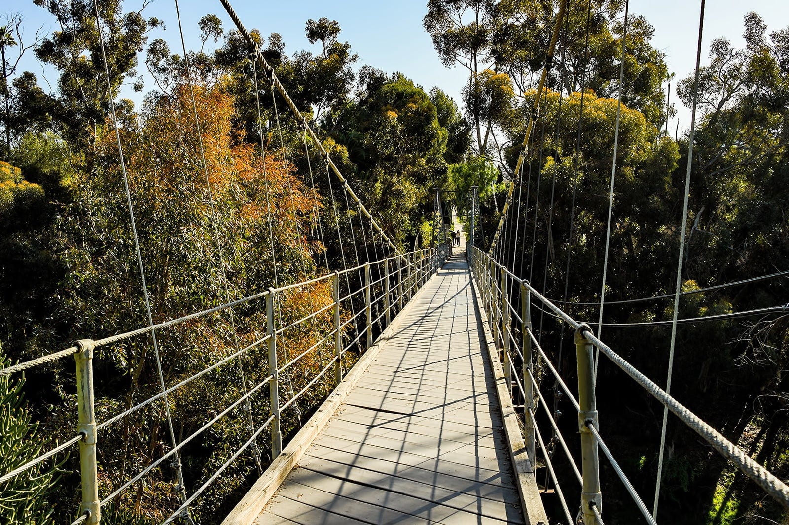 Spruce Bridge Spruce Street Suspension Bridge - Enjoy a Bird's-Eye View of Nature ...