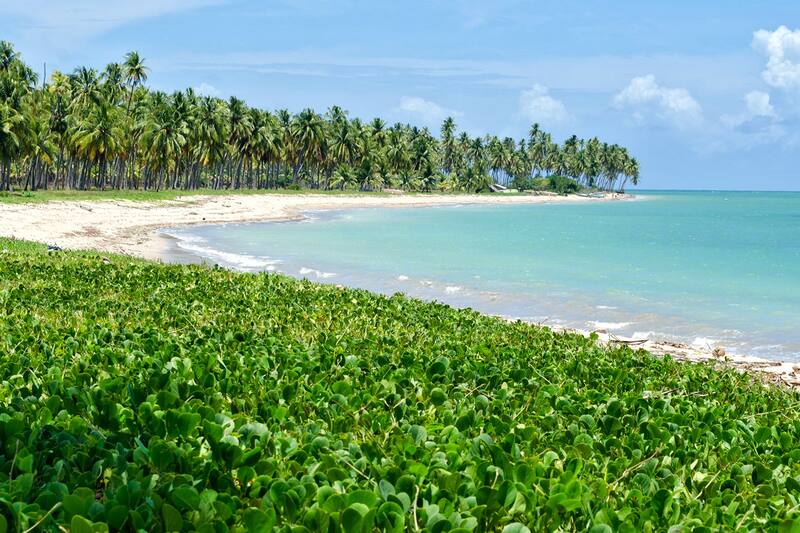 9 melhores praias do Nordeste - Conheça algumas das maravilhas do ...