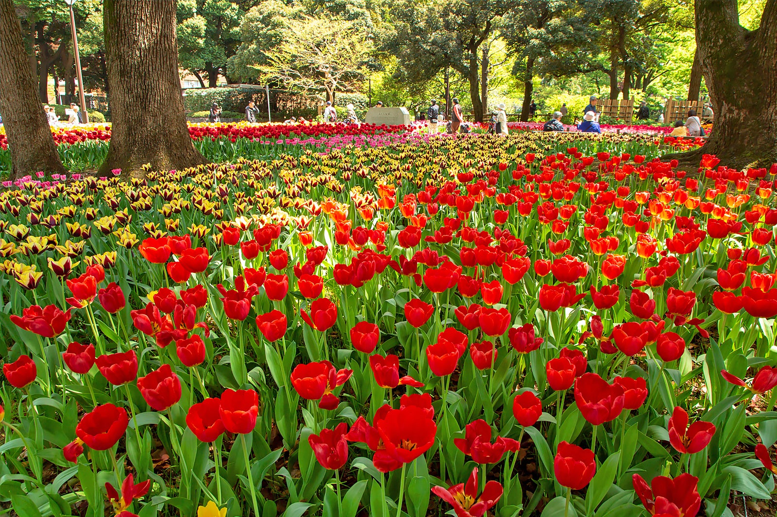 10 Iconic Buildings And Places In Yokohama Which Landmarks To Visit In Yokohama Go Guides