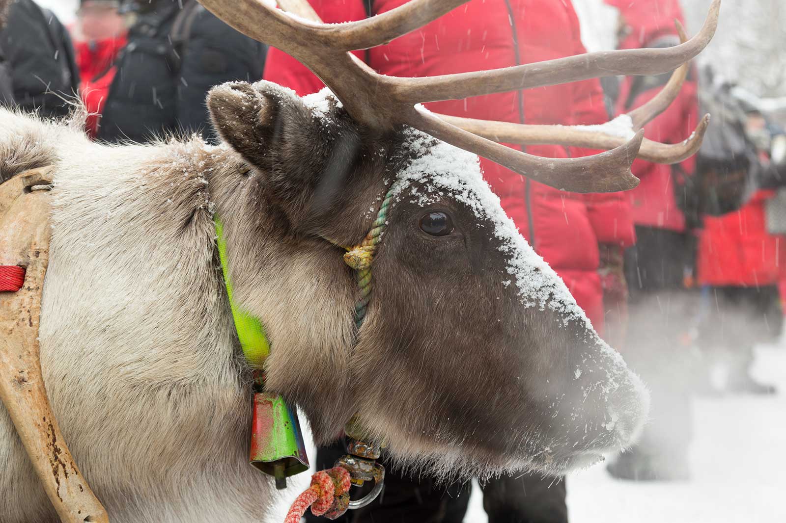 10 Best Places to Celebrate Christmas in the UK - Where are the Best