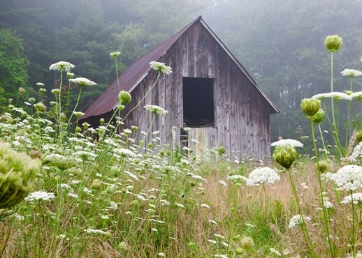 Brevard, North Carolina, Stati Uniti d'America