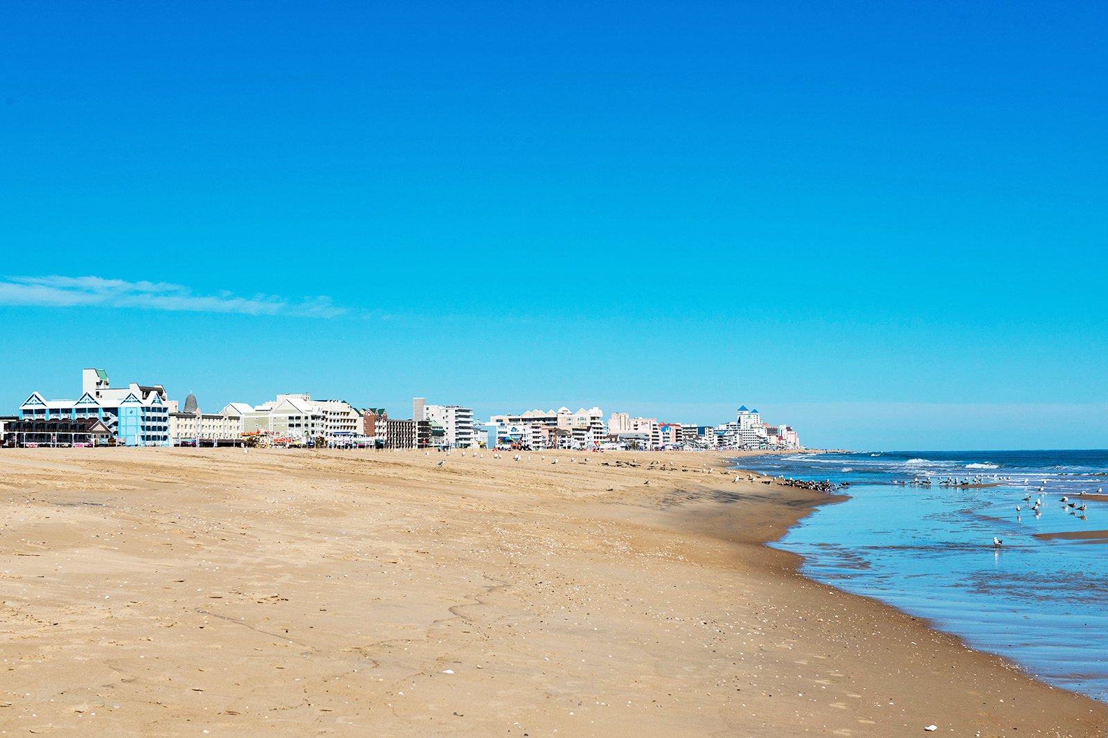 The Jersey Cape - Winterfest by the Sea in Ocean City, NJ