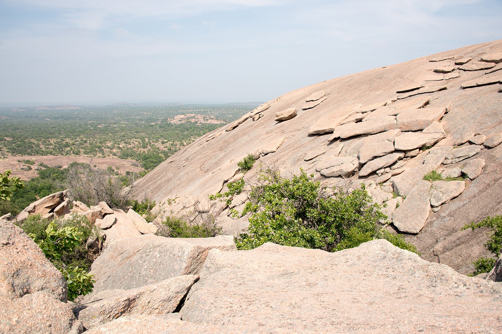 are dogs allowed at enchanted rock