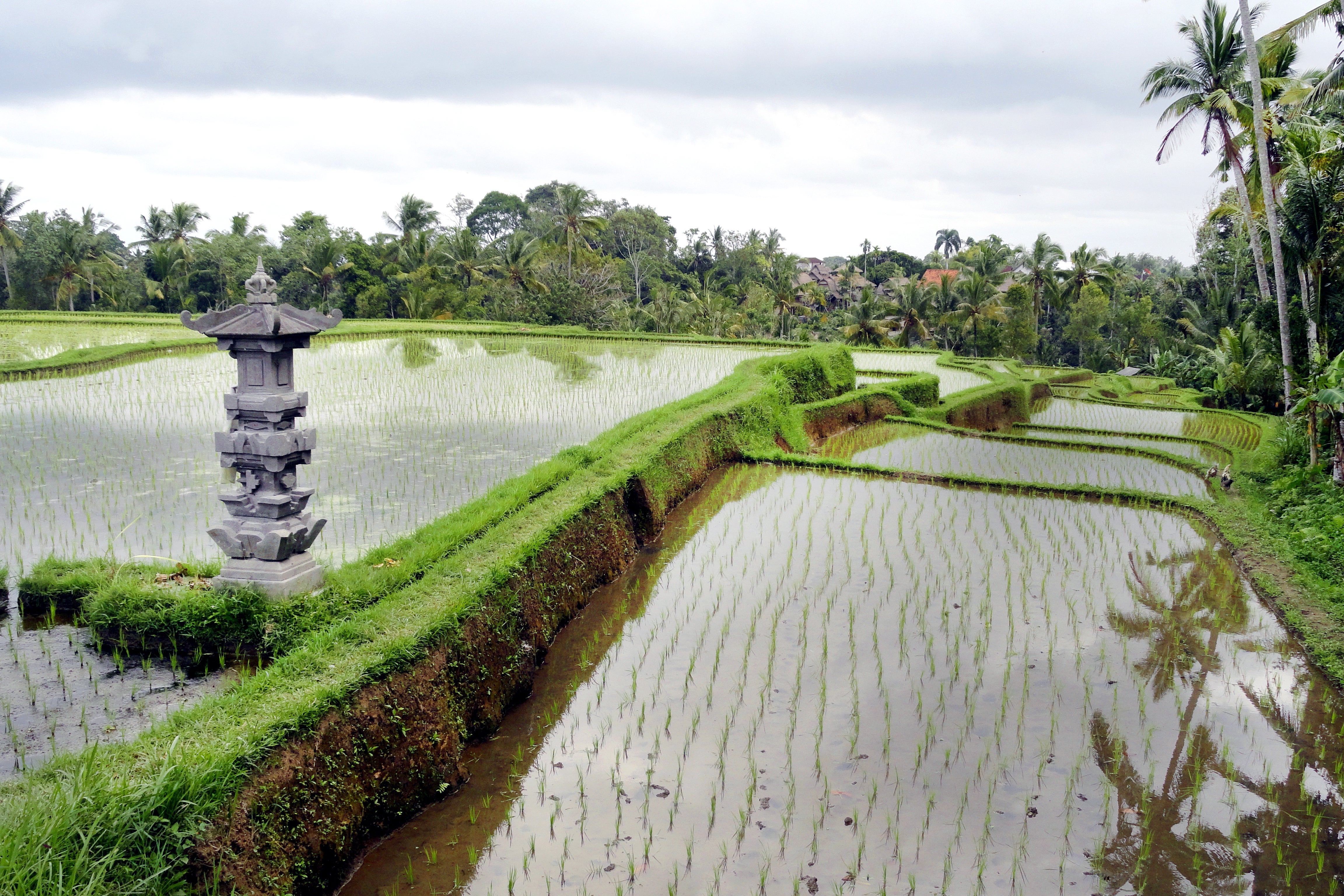 Bali Natural Wonders: Enchanting Beauty Unveiled