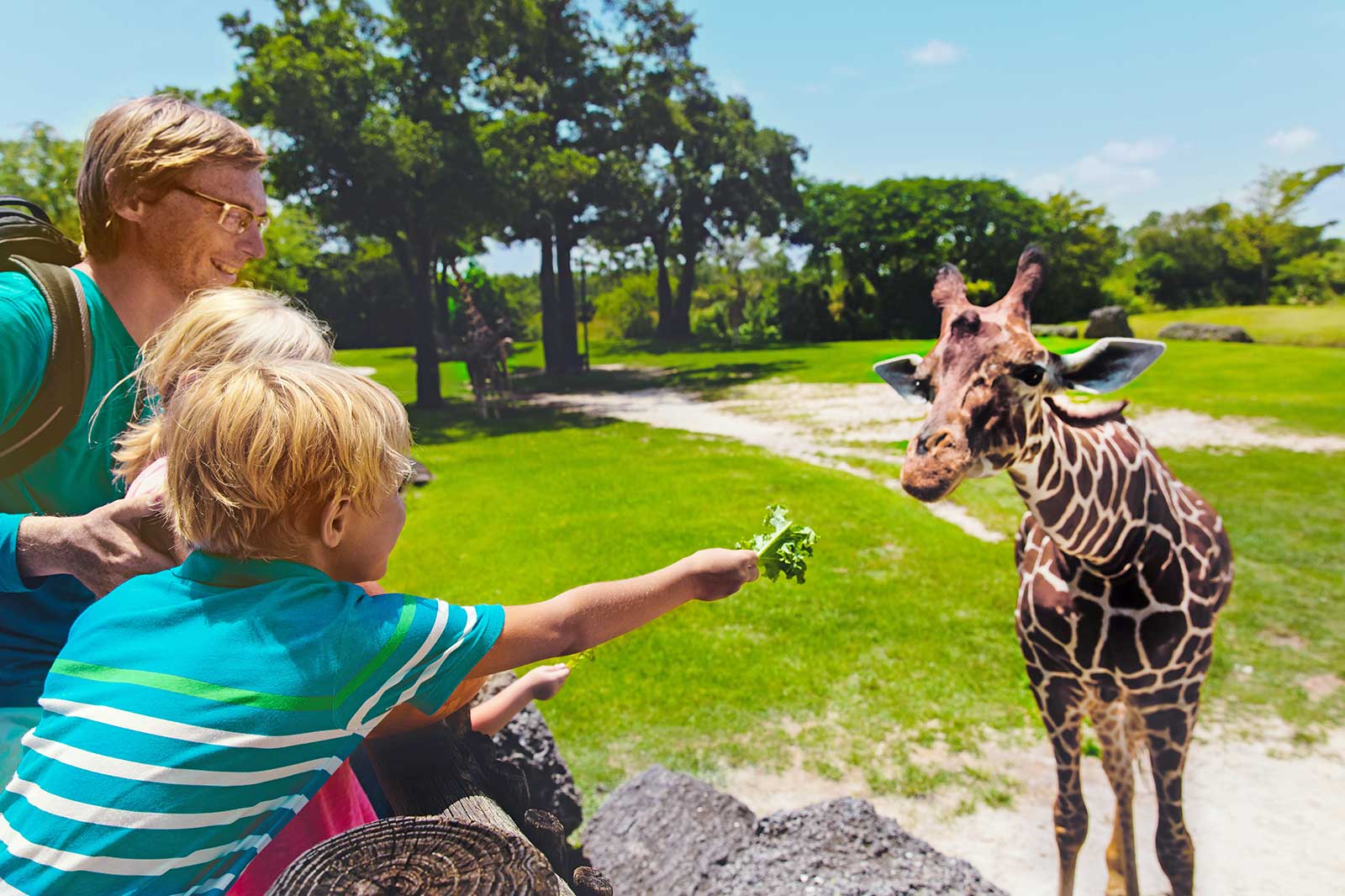 10 Best Places to Visit in Texas with Family - What to Do for Fun in ...