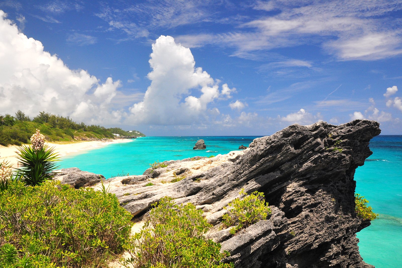 why travel to bermuda