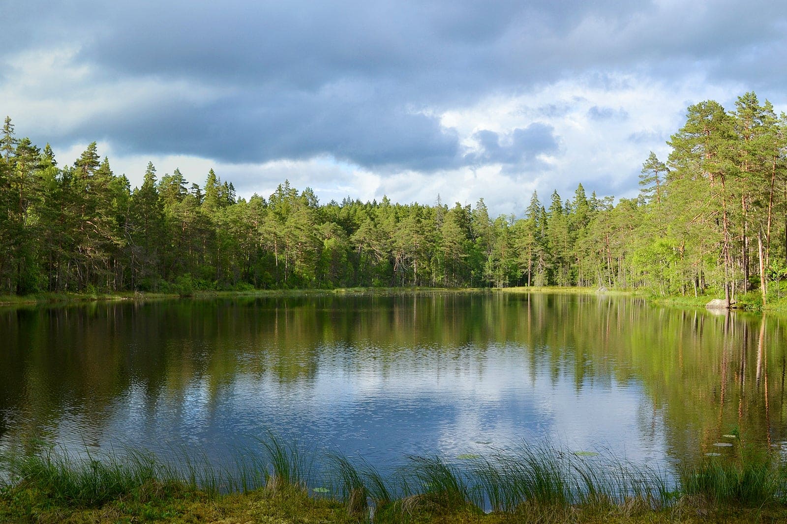 Top 10 Nature And Wildlife Neighborhoods In Sweden Escape To Sweden s top-10-nature-and-wildlife-neighborhoods-in-sweden-escape-to-sweden-s