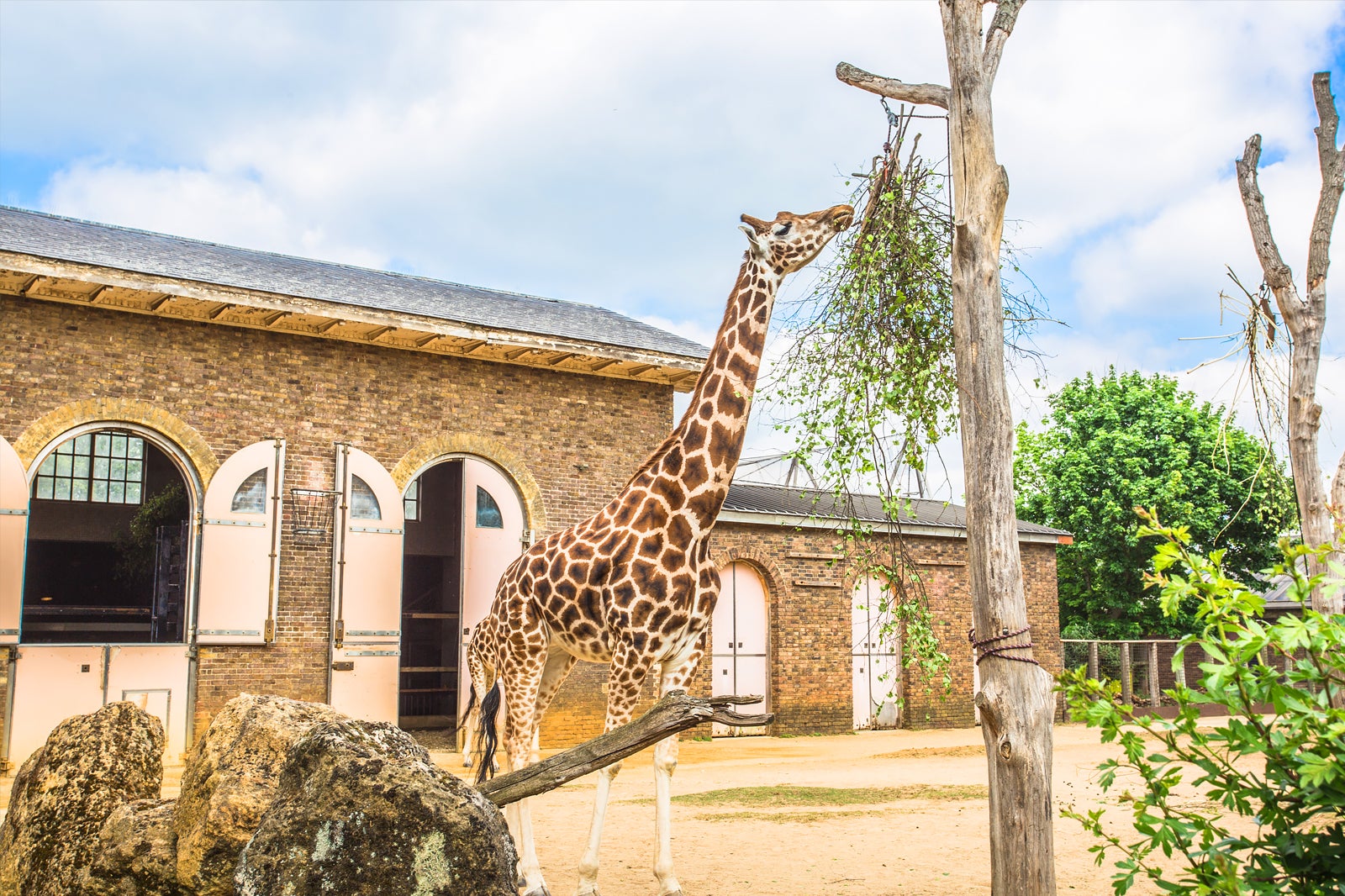 ZSL London Zoo - Family-Friendly Zoo and Conservation Center in London ...