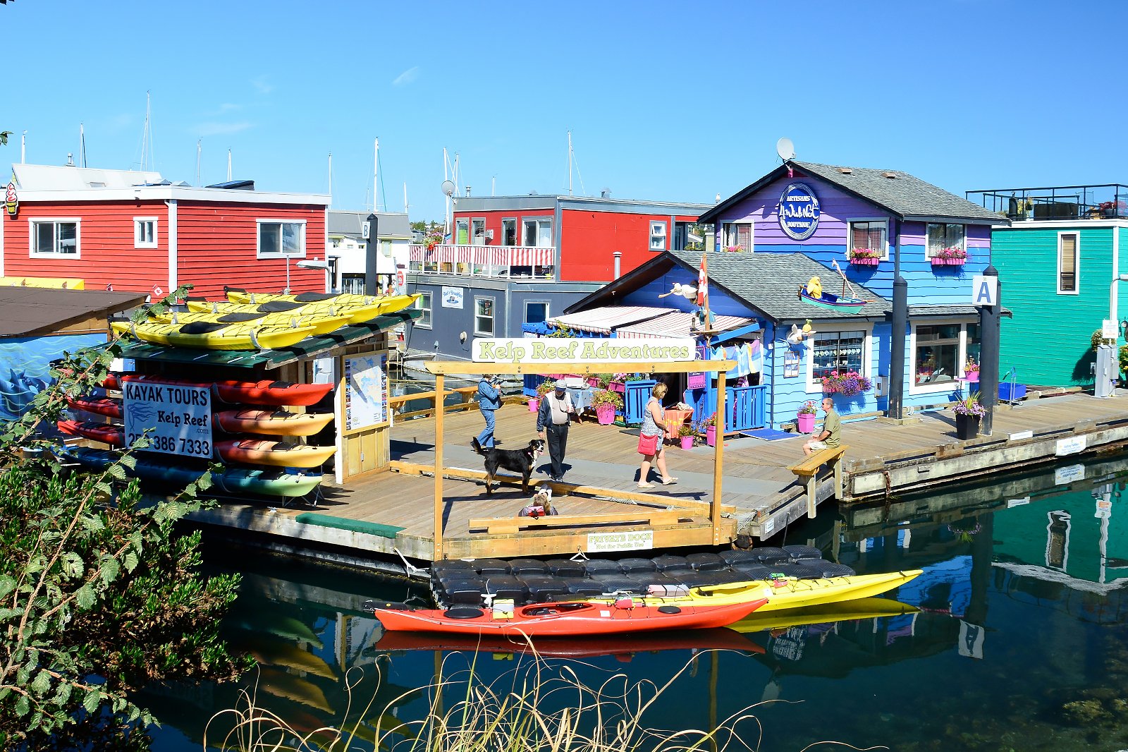 10 Things to Do in Victoria, BC with Kids - Best Family-Friendly Places