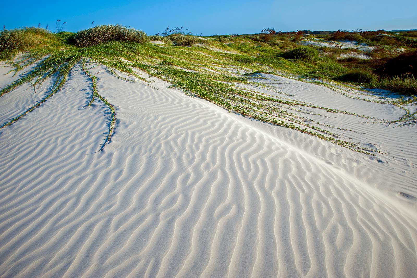 10 Best Beaches in Corpus Christi What Is the Most Popular Beach in