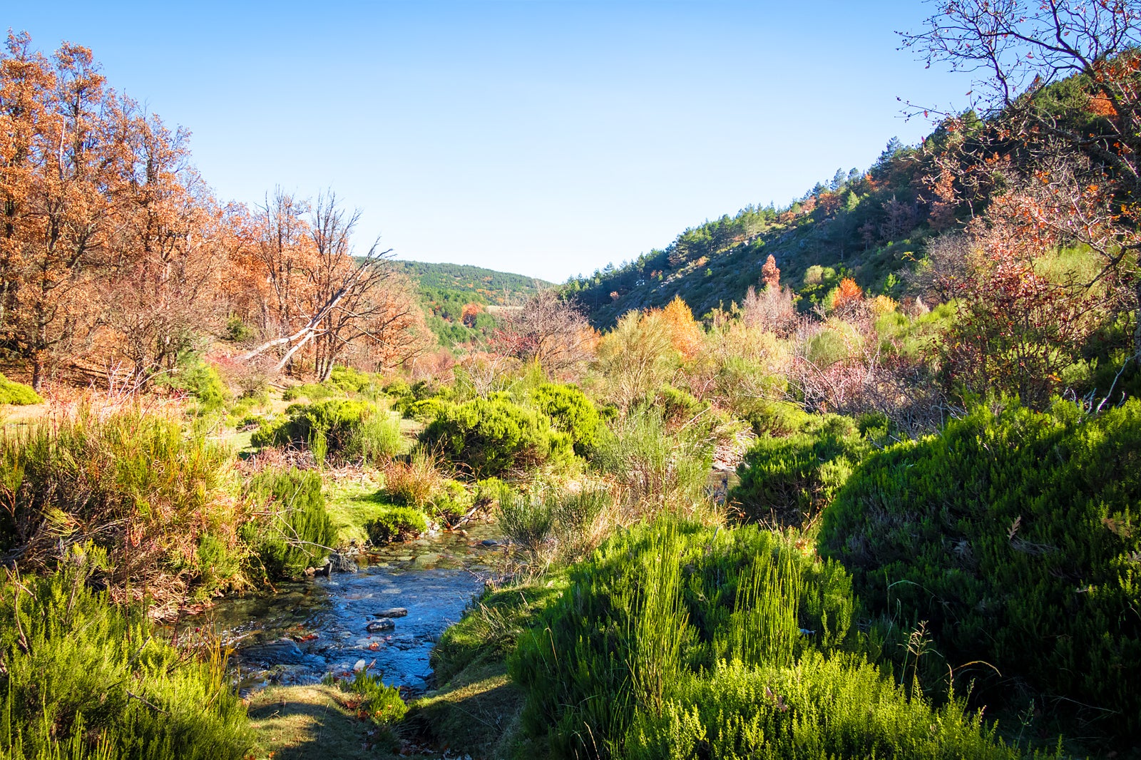 Los 10 mejores paisajes naturales en Guadalajara Descubre los sitios
