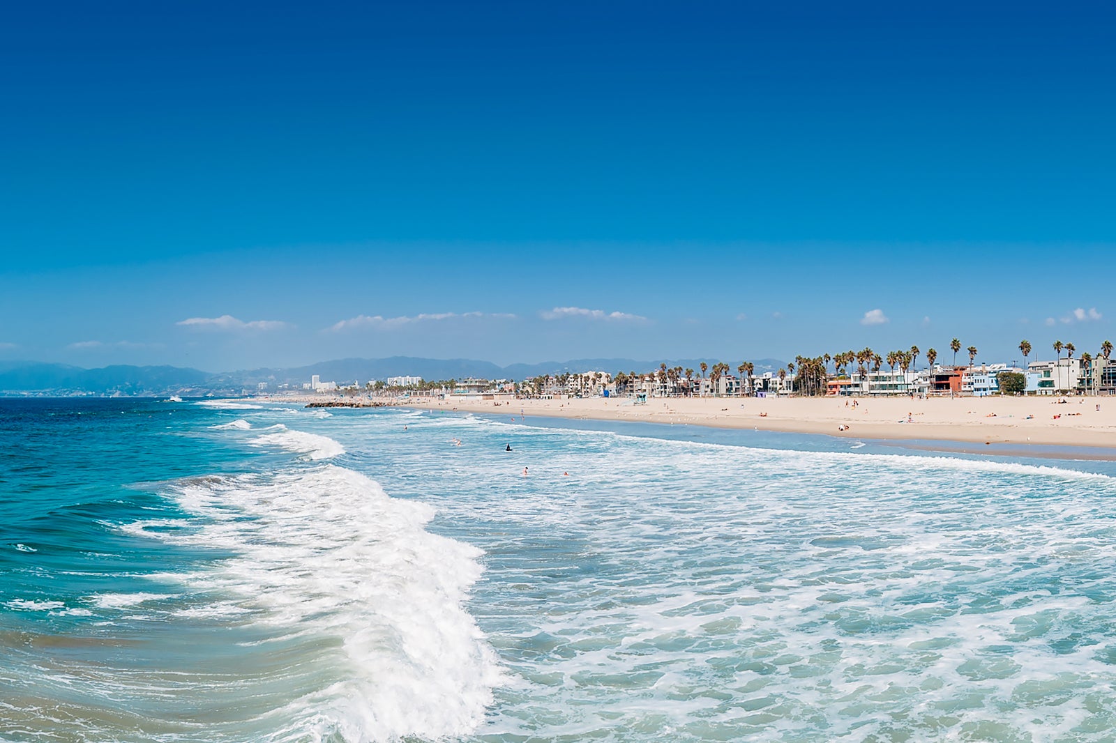 what beaches in los angeles allow dogs