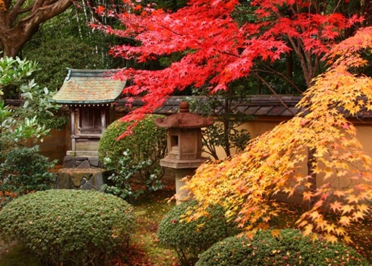 京都市 西本願寺 周辺のホテル 宿泊予約 格安ホテル予約 最安値検索 ホテルズドットコム 京都市 西本願寺 周辺のホテル 宿泊予約 格安ホテル予約 最安値検索 ホテルズドットコム