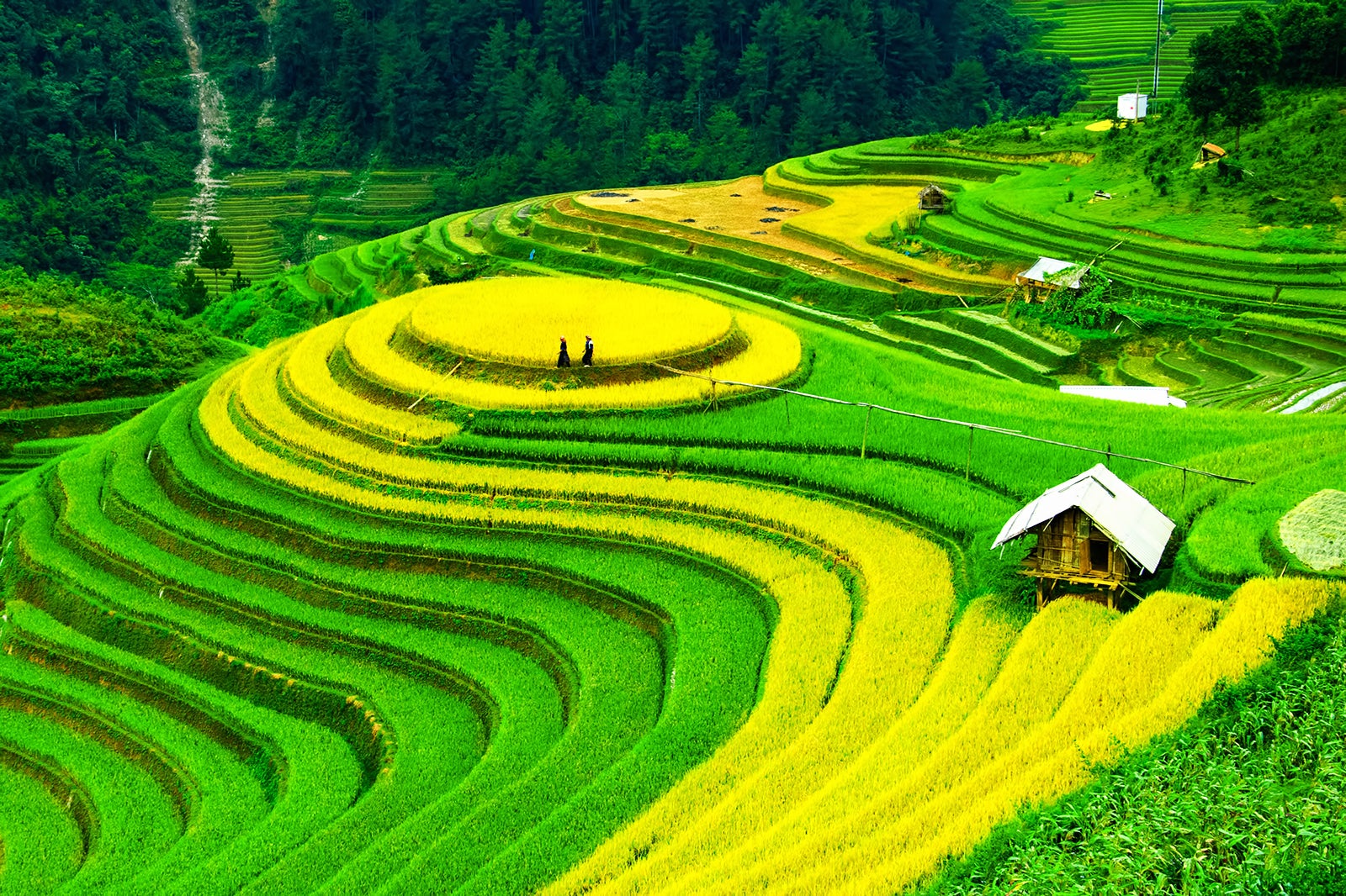 8 Spectacular Natural Wonders Of Vietnam