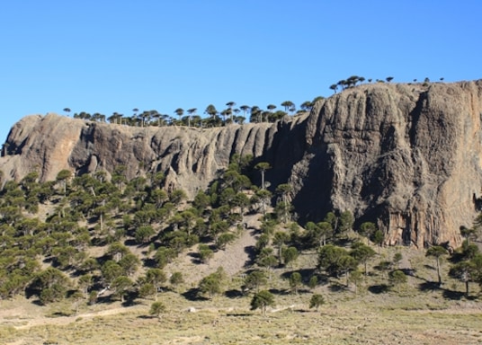 Temuco, Chile