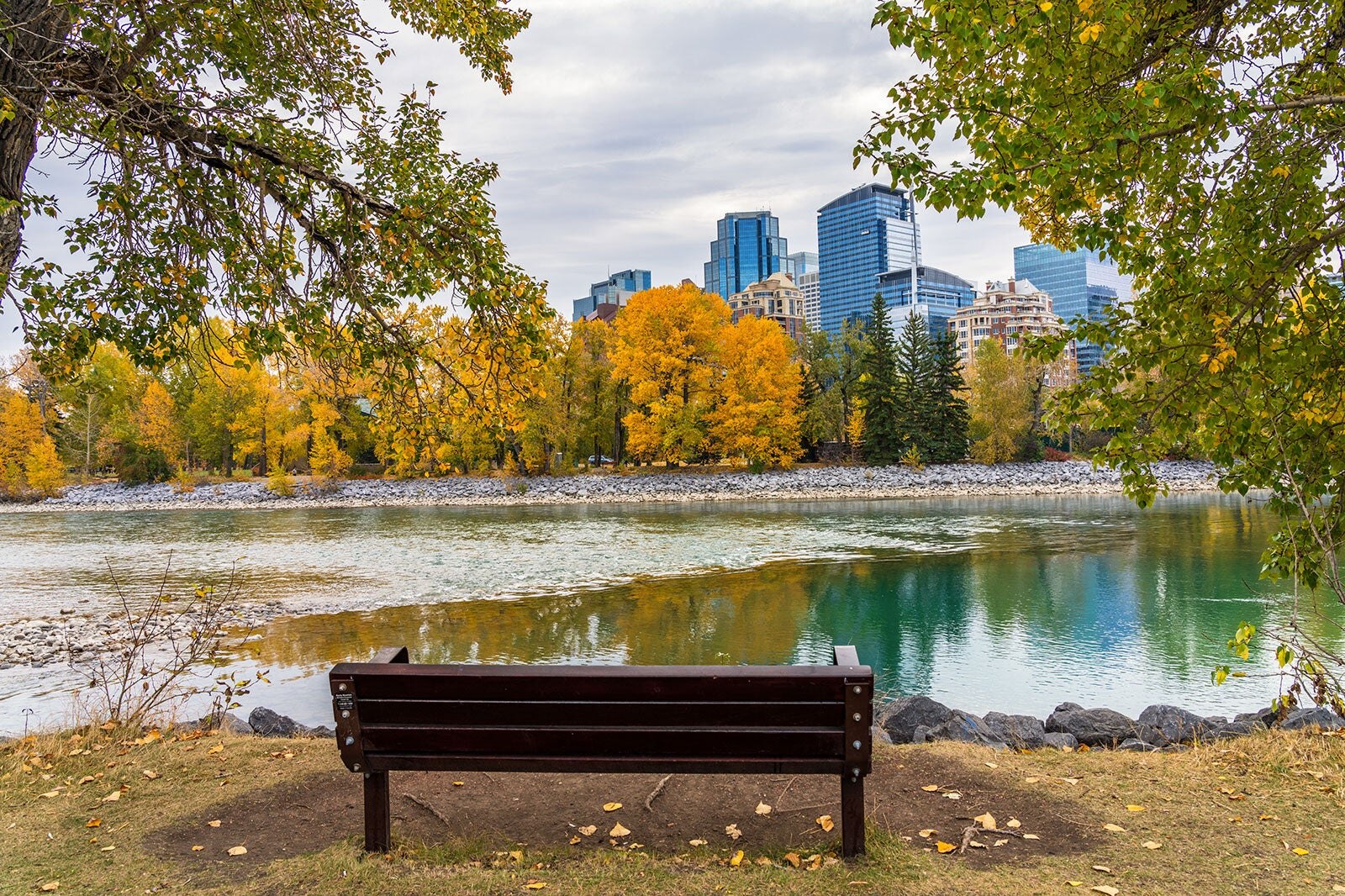 10 Most Popular Neighbourhoods In Calgary - Where To Stay In Calgary ...