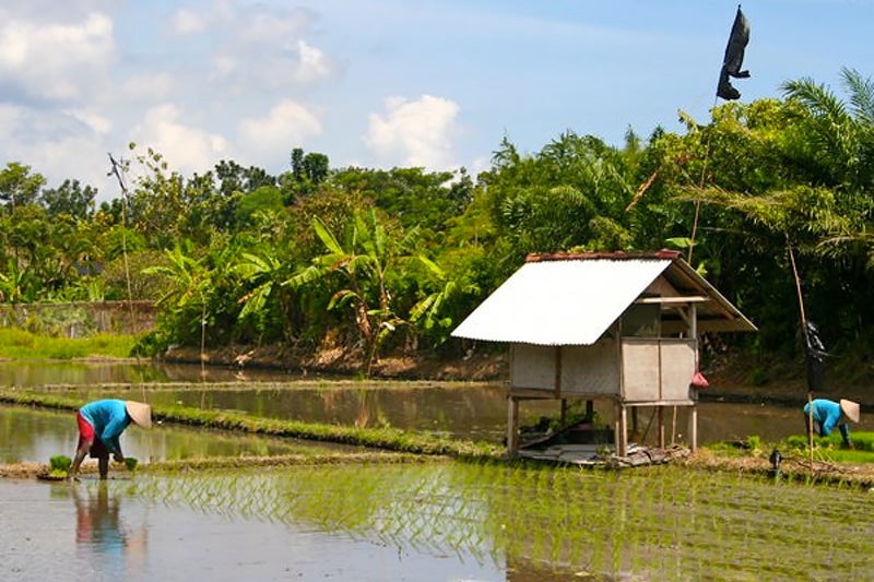 denpasar bali tourism