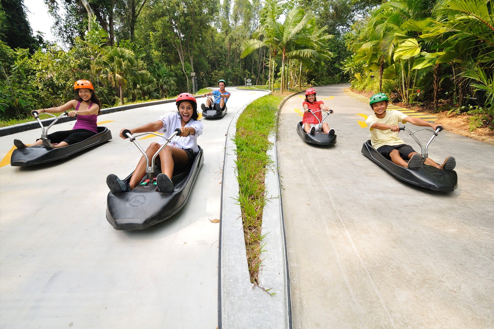 Luge Tracks  Skyline Luge Singapore