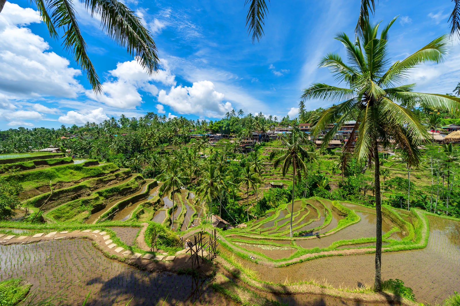 best tours in bali