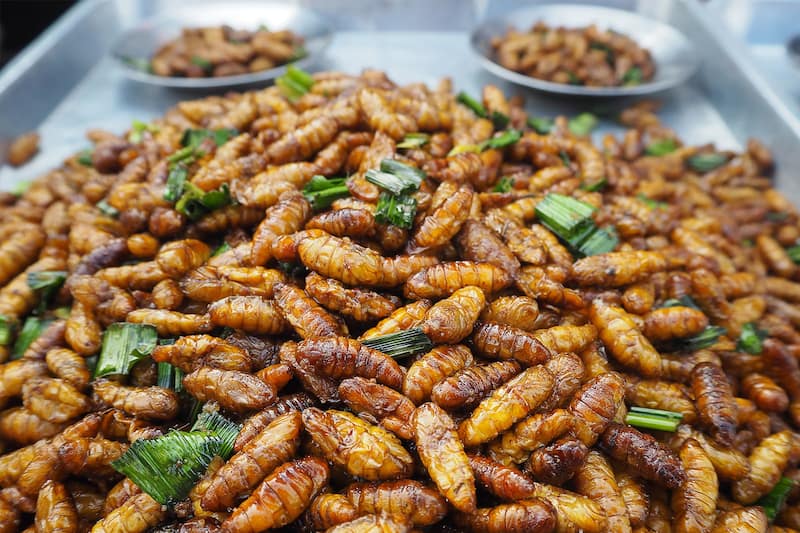 A Guide to Eating Insects in Phuket - Phuket's Edible Bugs - Go Guides