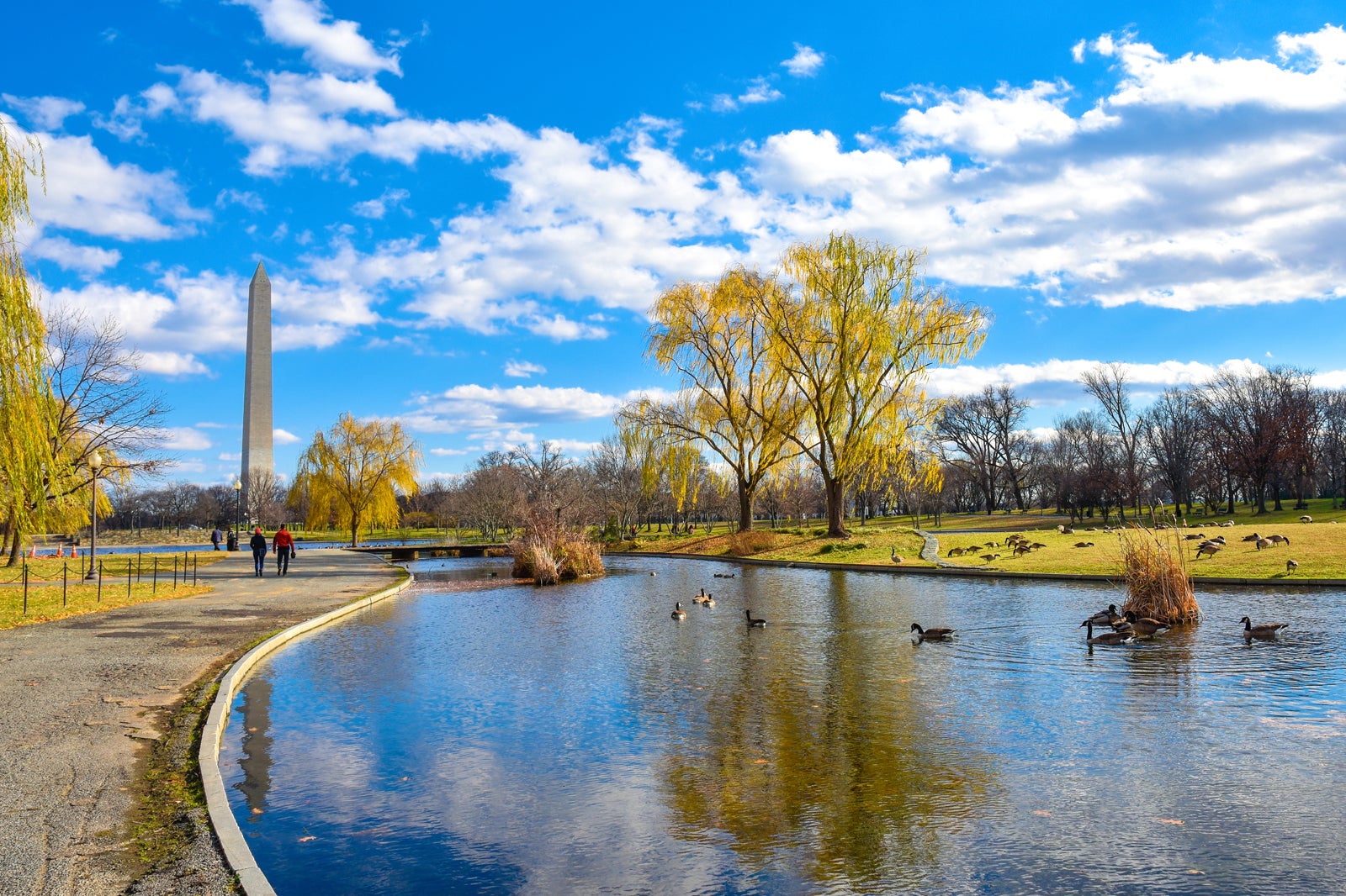 visit washington dc park