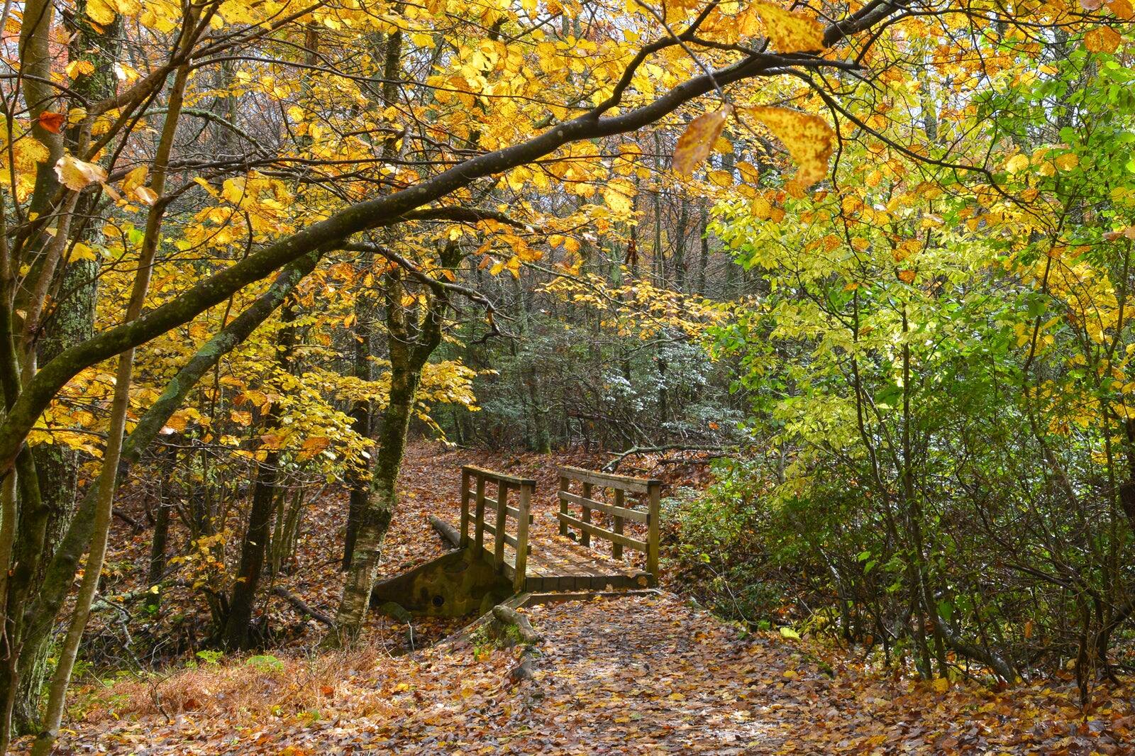 Rock Creek Park in Washington DC - Enjoy Outdoor Adventure in a Massive ...