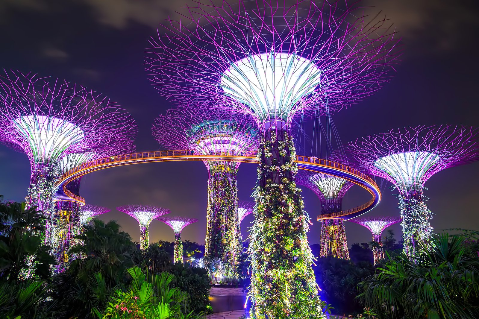 Marina Bay Sands Sky Park  Tourist attractions in Singapore