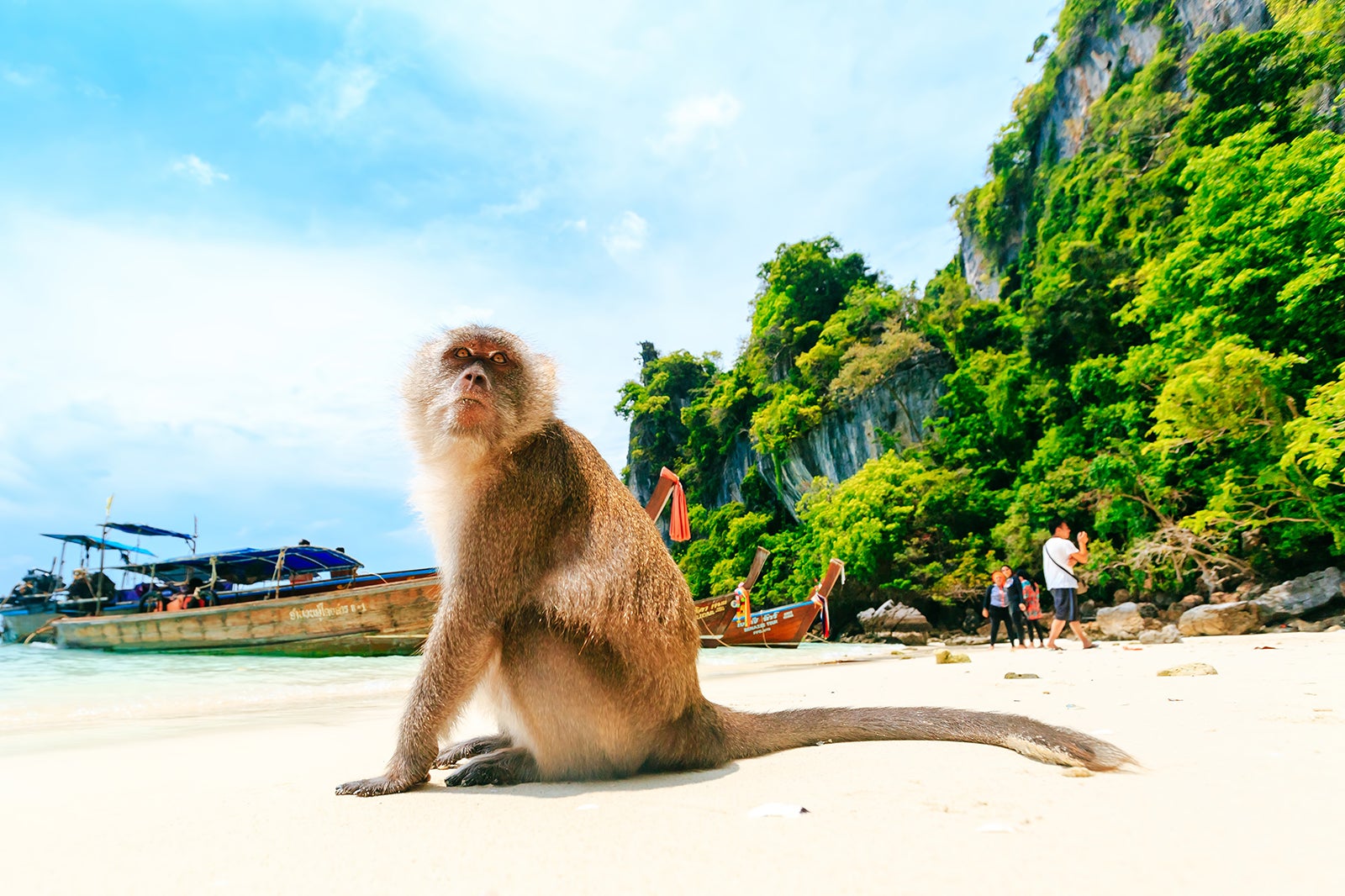 Monkey Beach in Phi Phi Island - Great Snorkeling Spot on Koh Phi Phi Don –  Go Guides