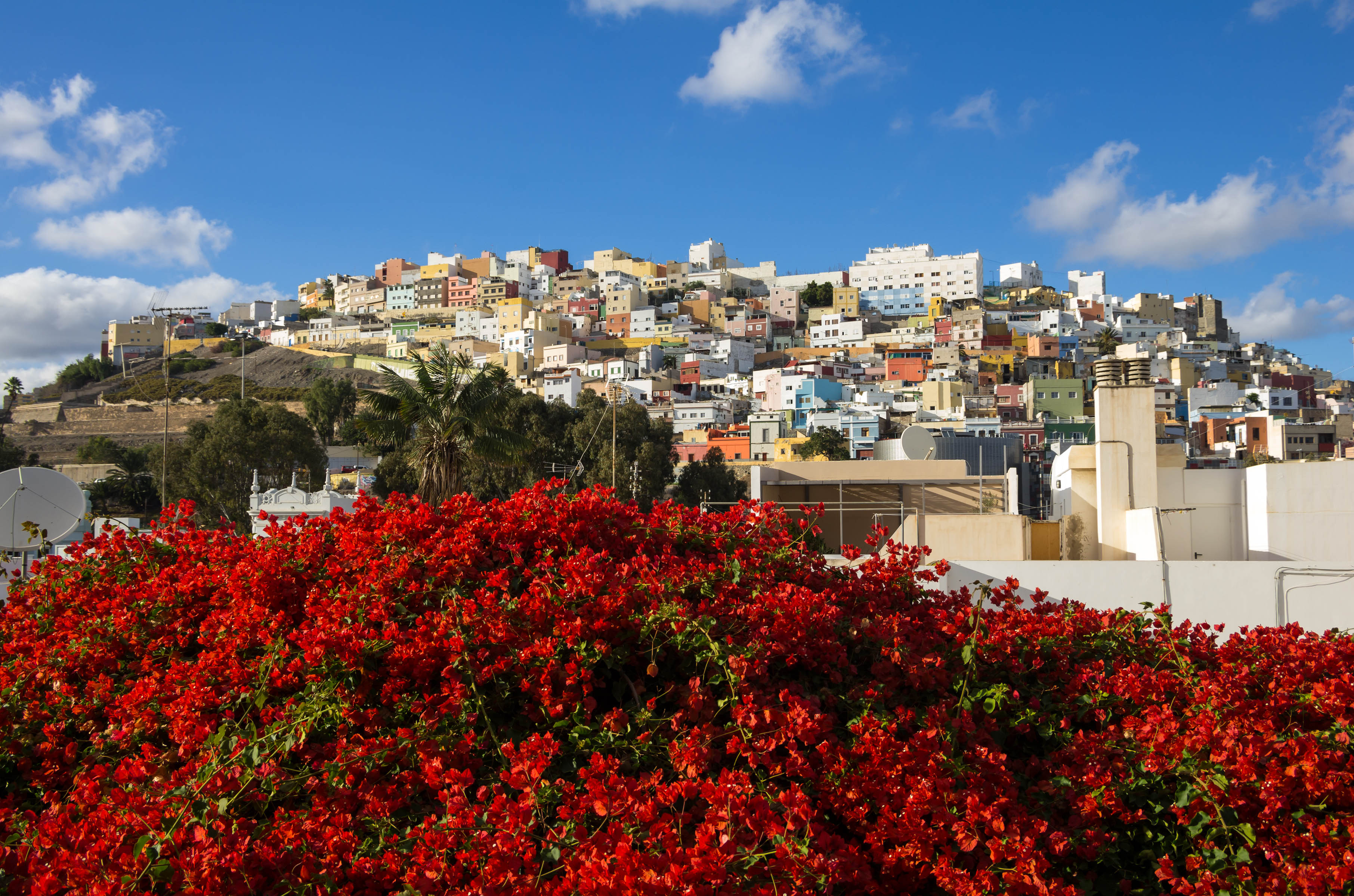 Las Palmas de Gran Canaria, Španjolska