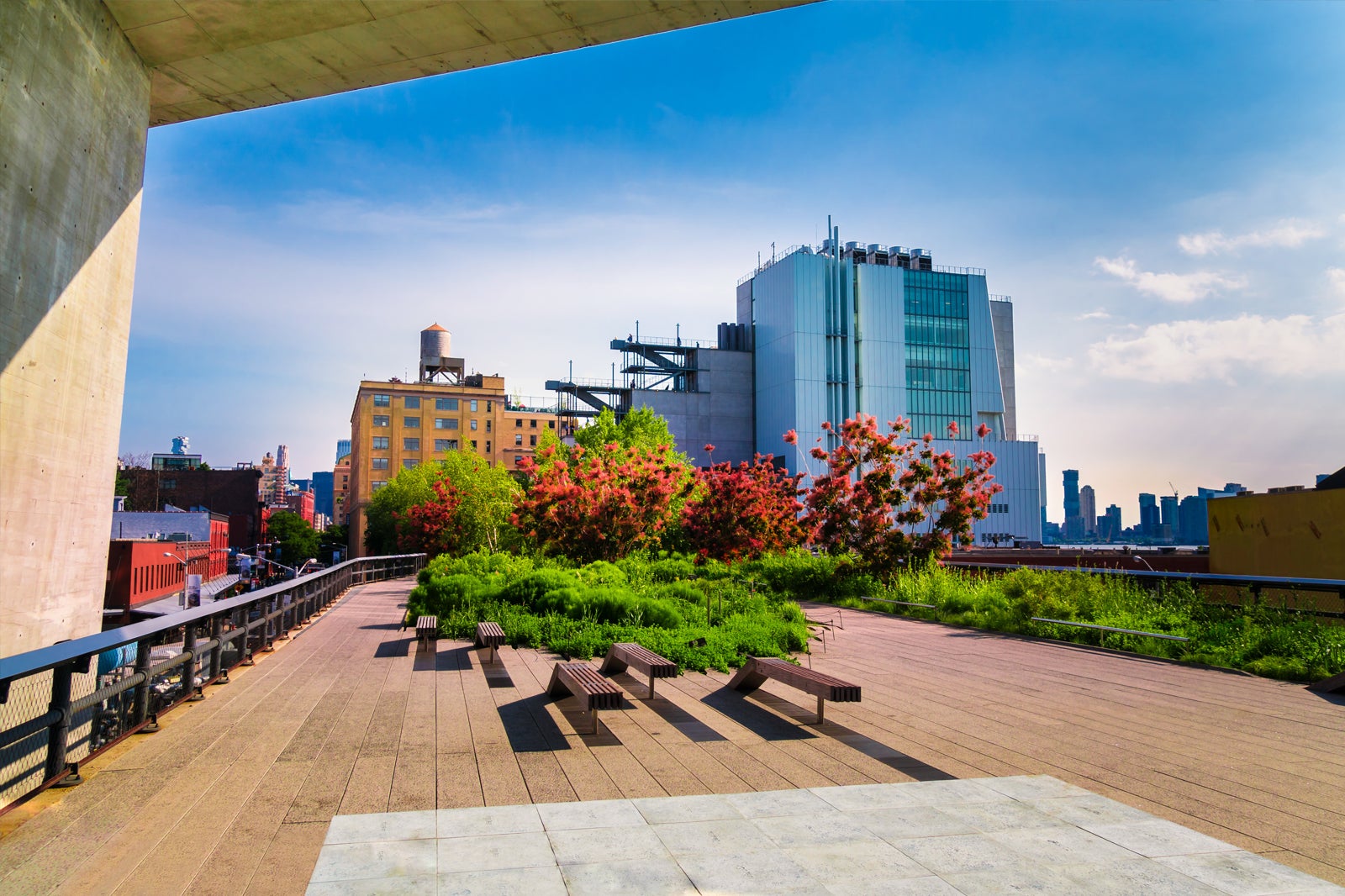 Great Museums: Elevated Thinking: The High Line in New York City 