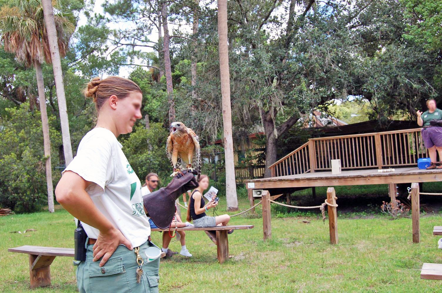 lion safari tampa