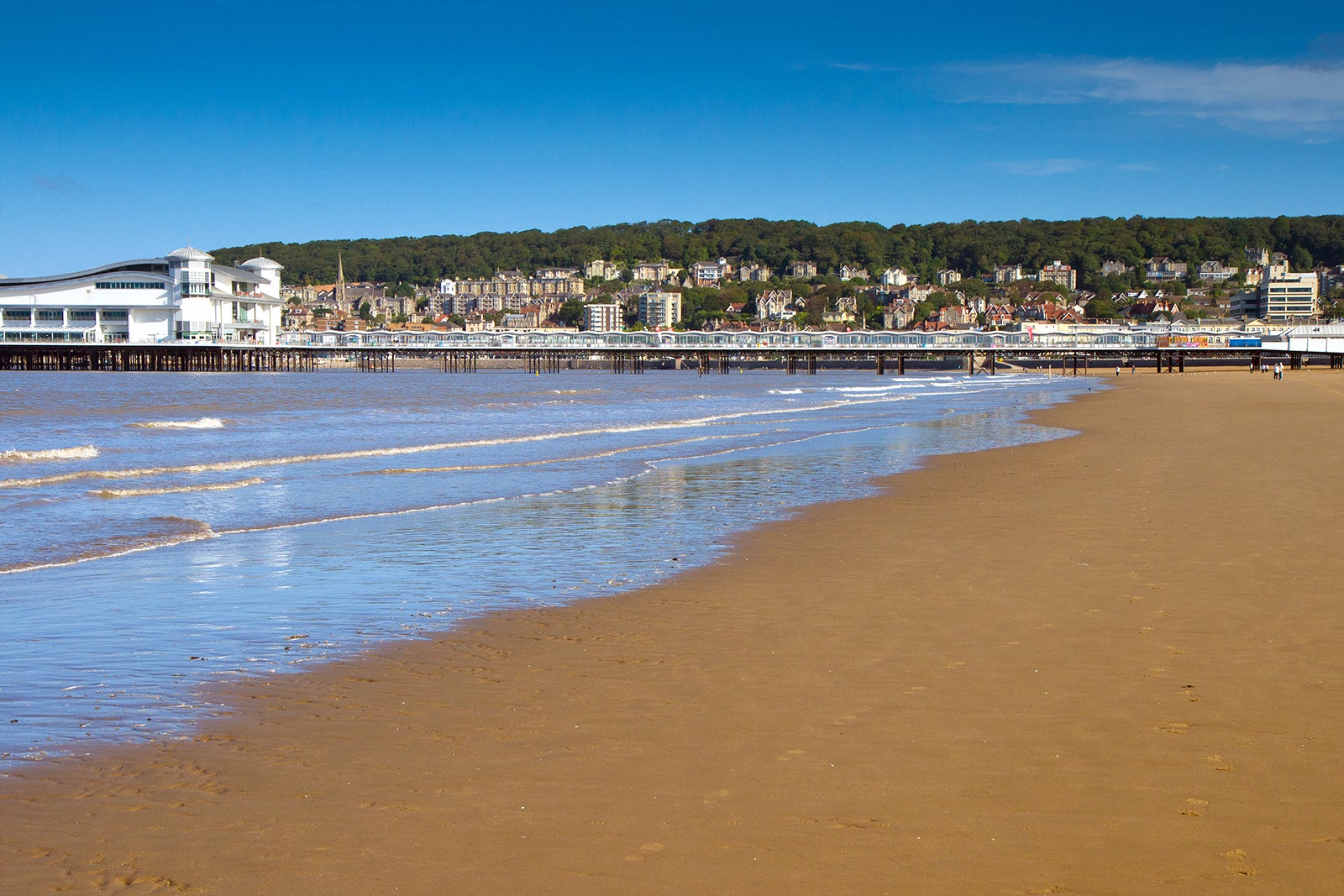 Que Playas En Inglaterra Permiten Perros