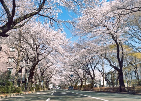 Top Hotels In Kodaira Japan Cancel Free On Most Hotels Hotels Com Top Hotels In Kodaira Japan Cancel Free On Most Hotels Hotels Com