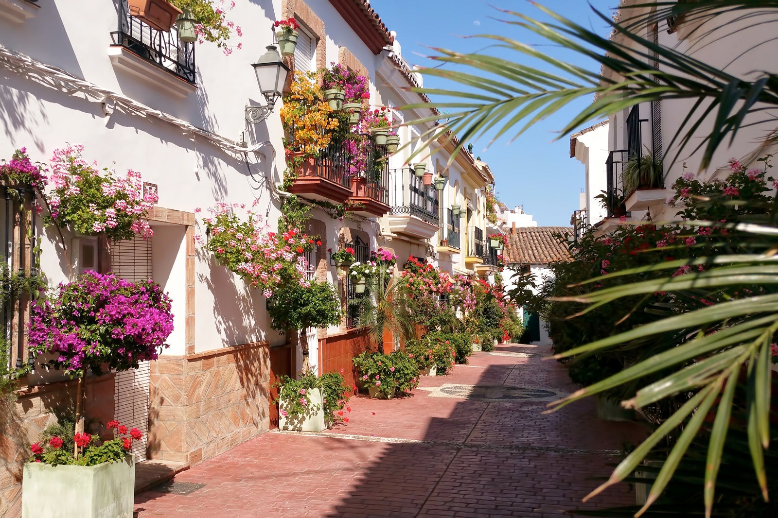 tours from estepona spain