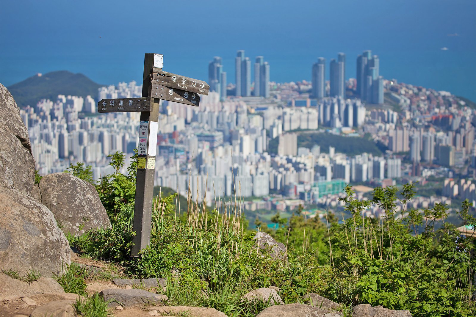 busan tourism places