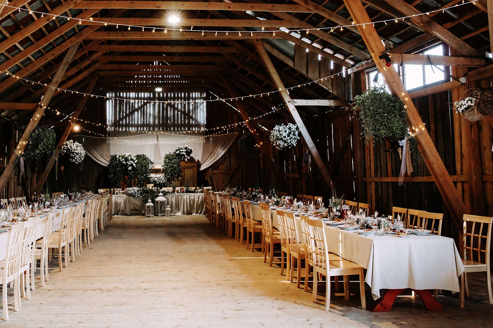 8 Best Dinner Shows in Pigeon Where’s the Best Place in Pigeon