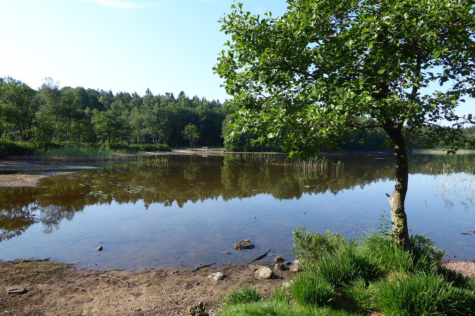 Delsjön in Gothenburg - Recreational Area in - Go Guides