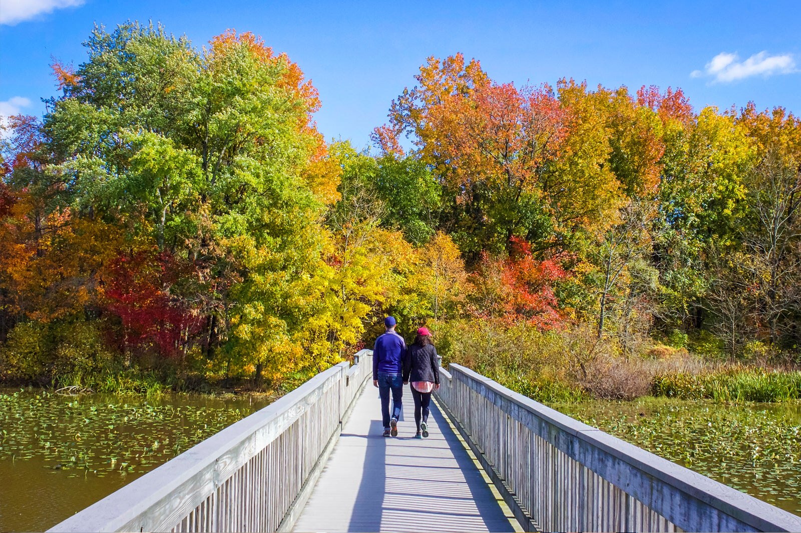 10 Best Things To Do For Couples In Philadelphia What To Do On A 