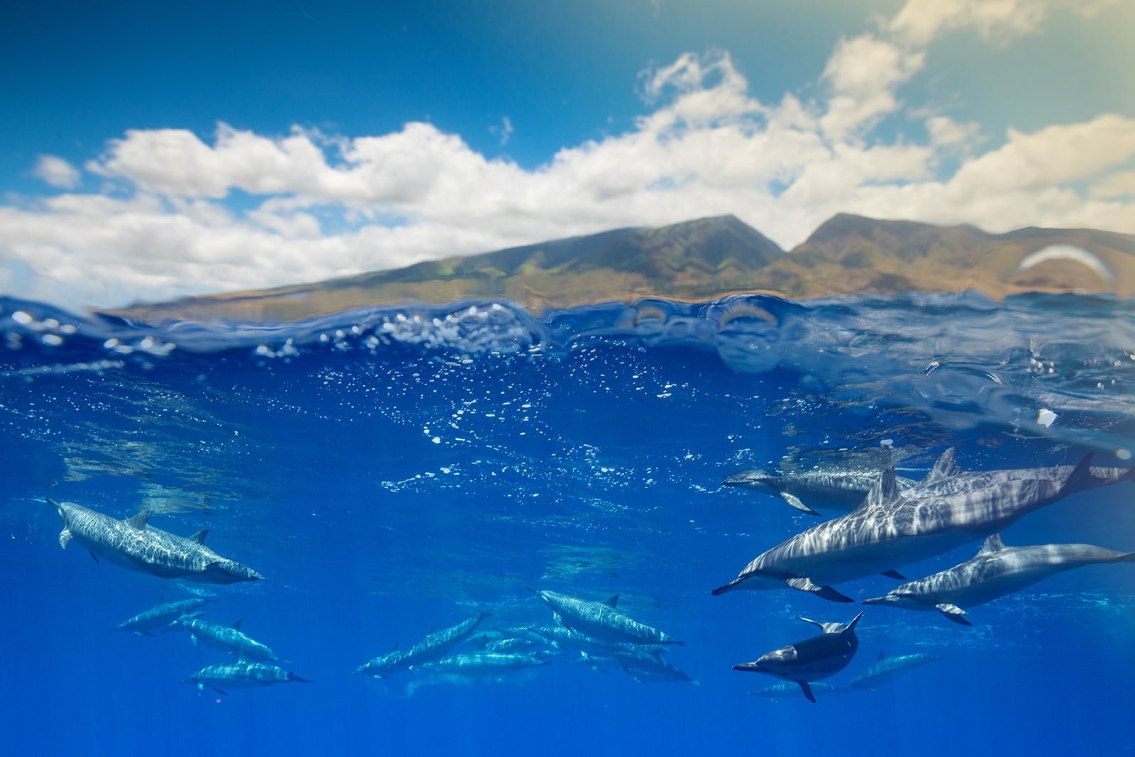 6 Best Hawaiian Islands to Visit Which Island in Hawaii is Right For