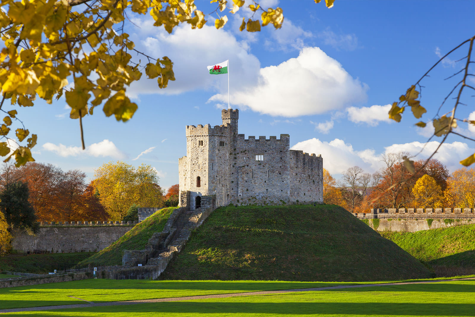 Cardiff City  The Beautiful History