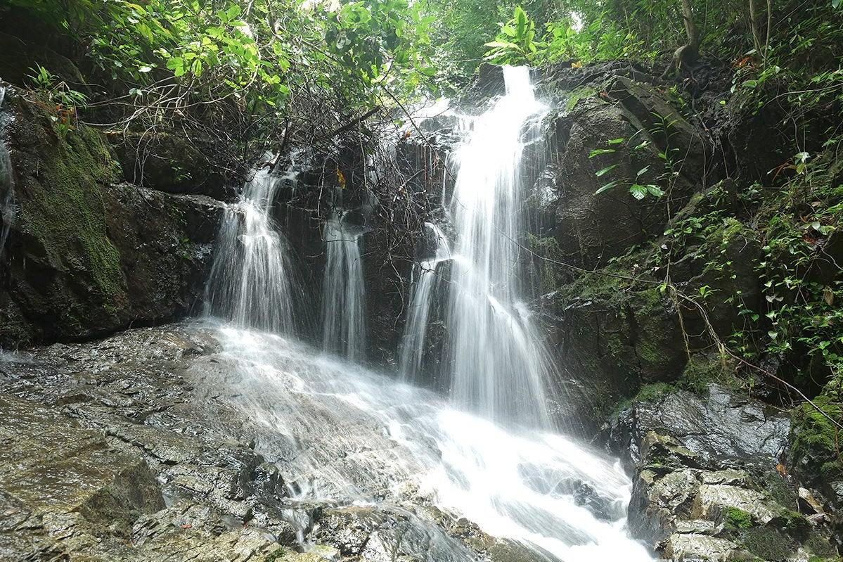 Водопады на пхукете. Банг ПЭ водопад Пхукет. Водопад АО Йон. Водопад ton Sai. Ton Sai Waterfall Пхукет.