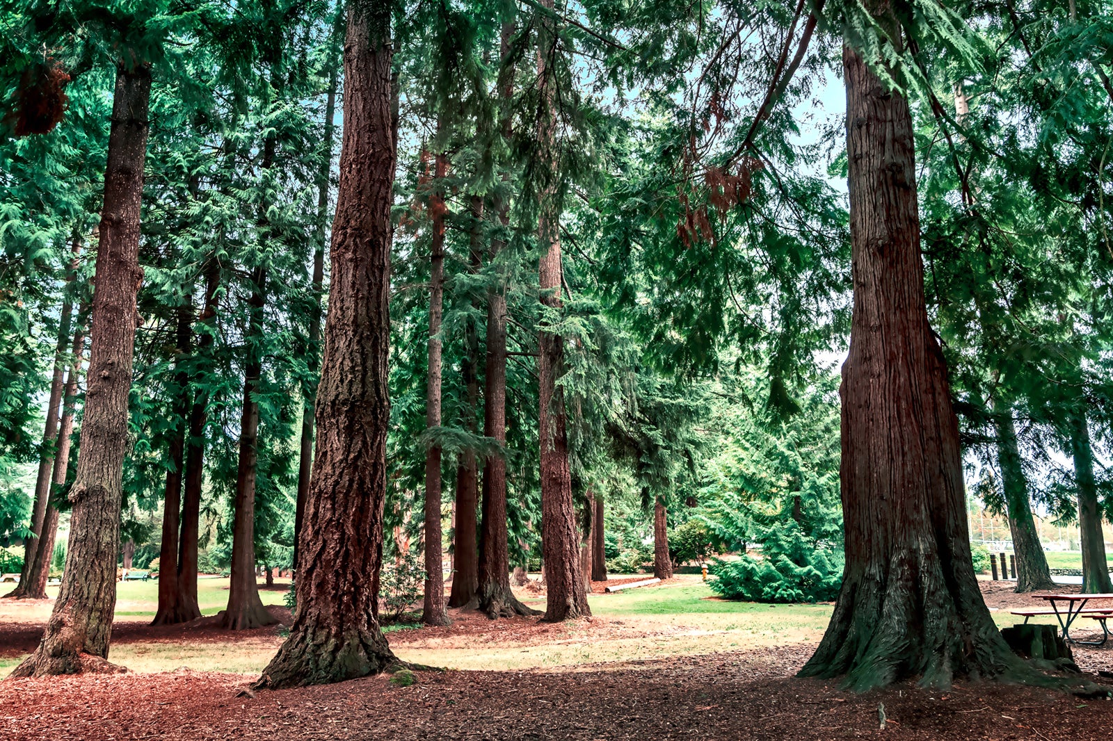 Woodland Park in Seattle - Enjoy Outdoor Fun by the Lake – Go Guides