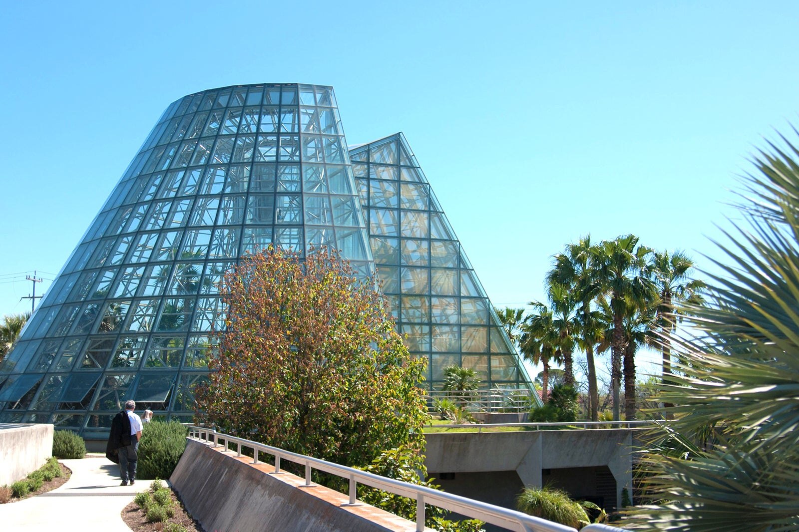 San Antonio Botanical Gardens - Enjoy Plants From Around the World and ...