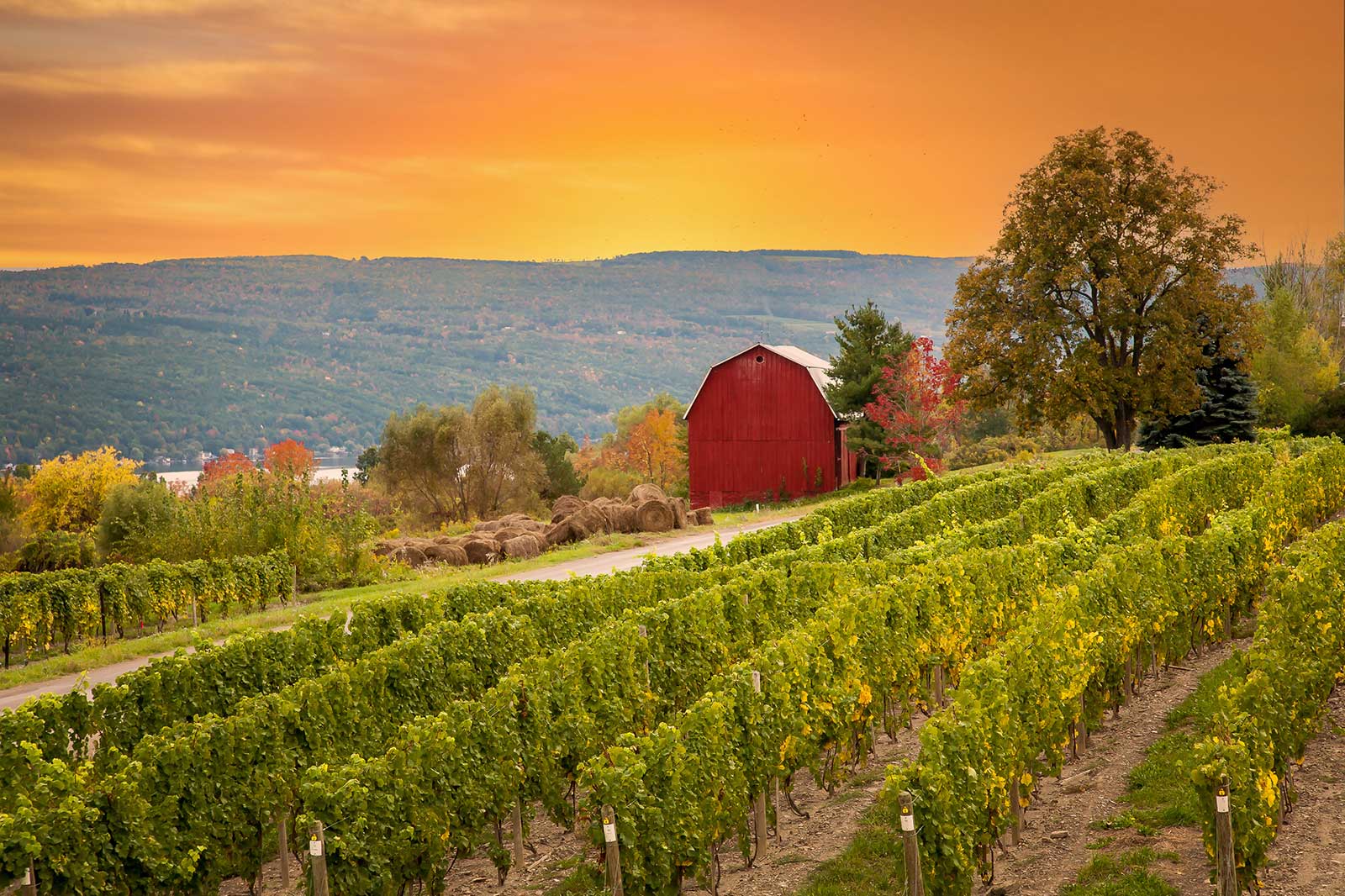 10 Best Wineries And Vineyards In New York State Where To Go In New