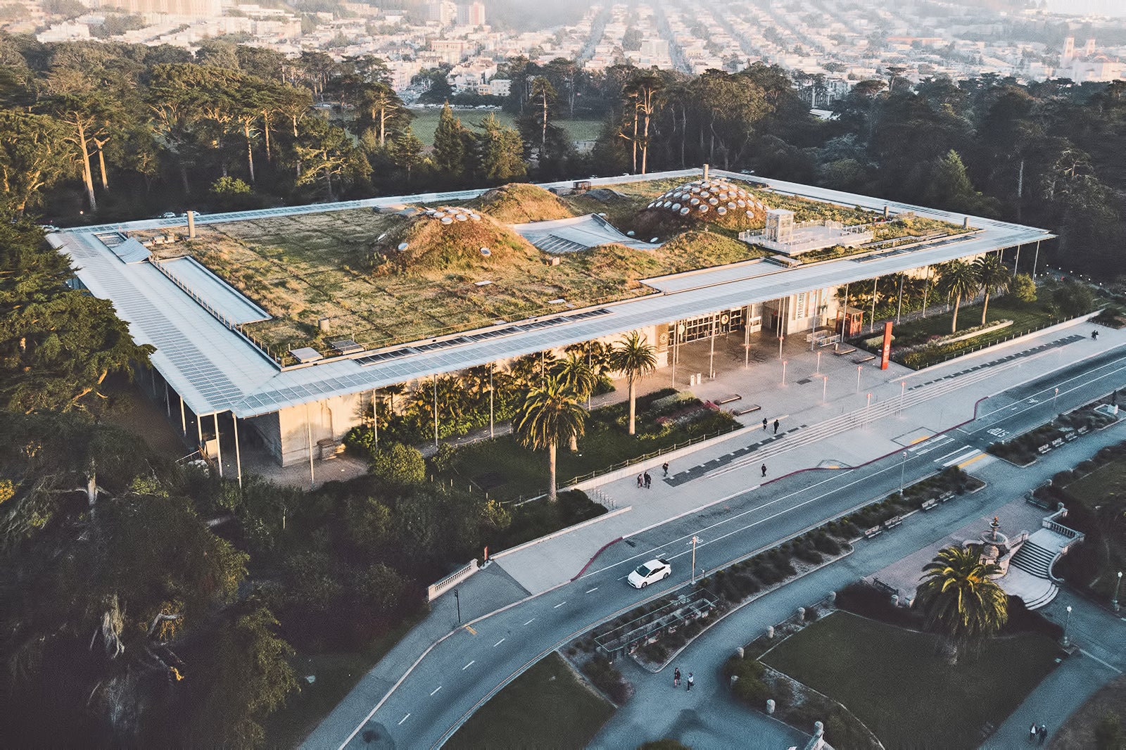 California Academy of Sciences in San Francisco Discover One of the