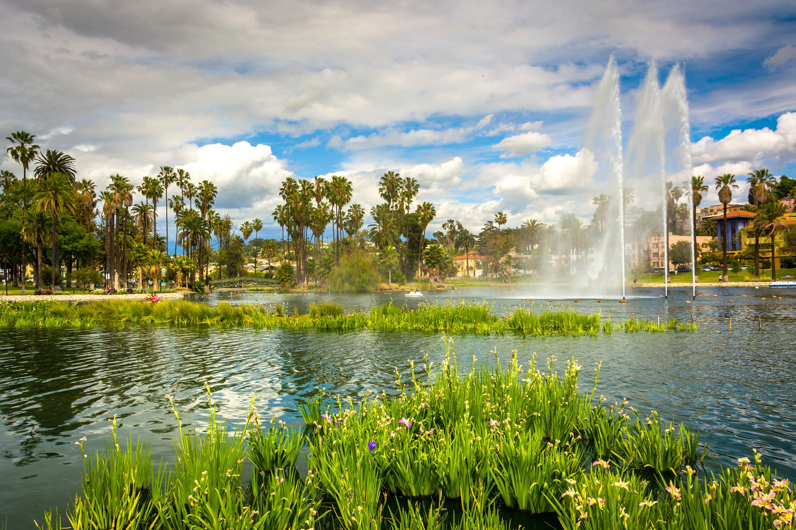 Echo Park Lake in Los Angeles - Explore an Oasis of Fountains and Palm  Trees in Los Angeles – Go Guides