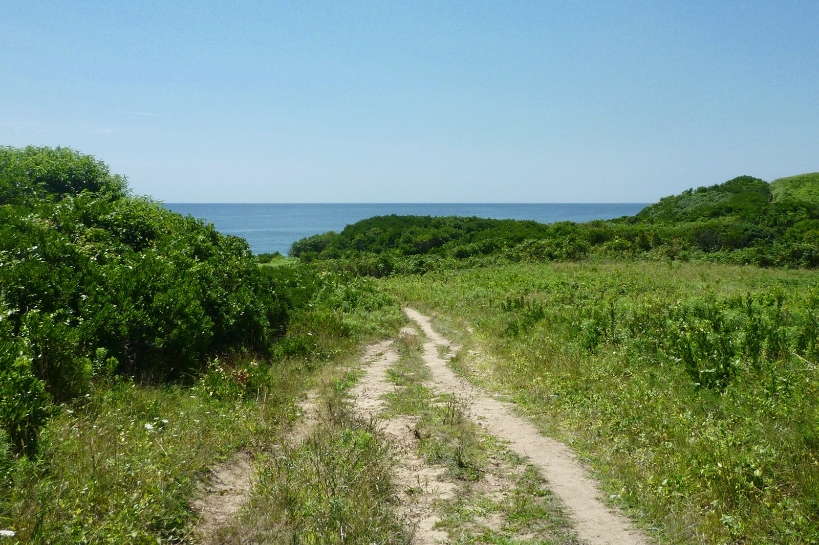 10 Best Things to Do in New Shoreham Explore the Only Town on Block