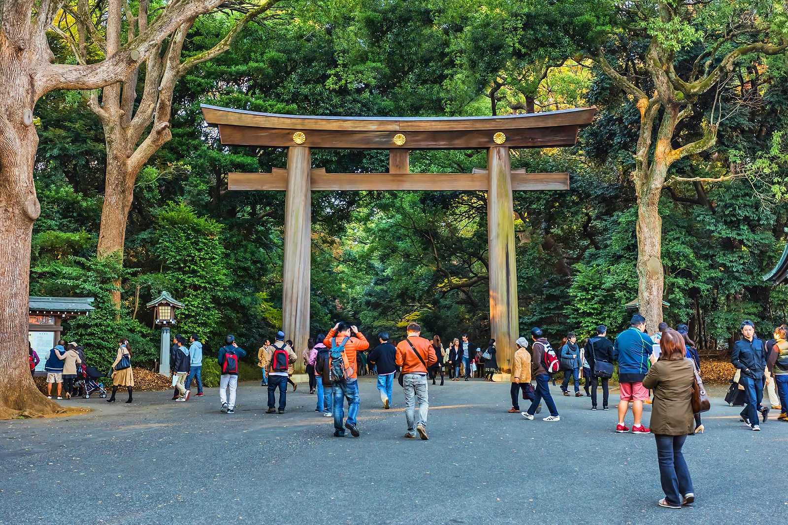 unusual places to visit in tokyo