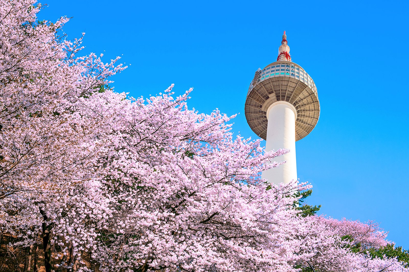 21 Best Things to Do in Seoul What is Seoul Most Famous For? Go Guides