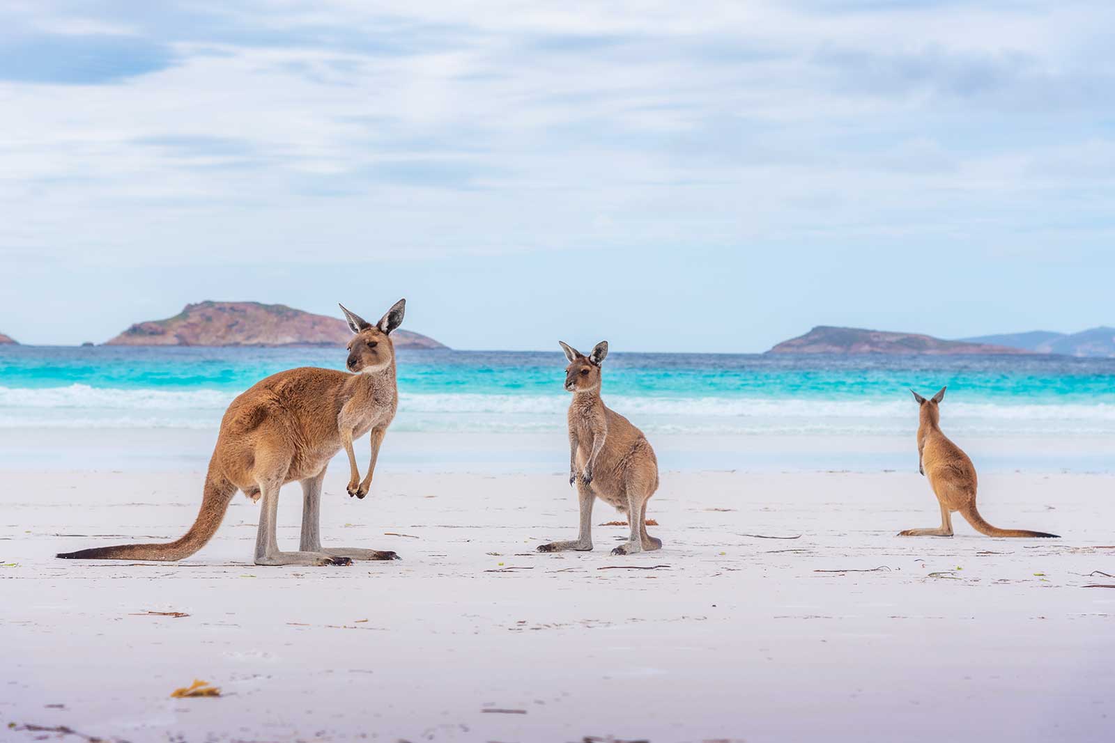 10 Best Beaches in Brisbane What is the Most Popular Beach in